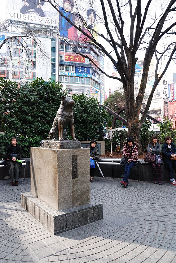 DSC_4939.jpg