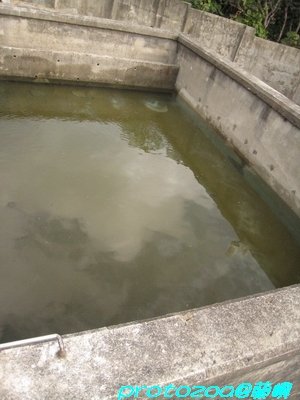 IMG_2827.jpg