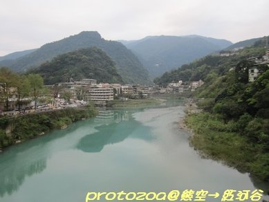 IMG_9270.jpg