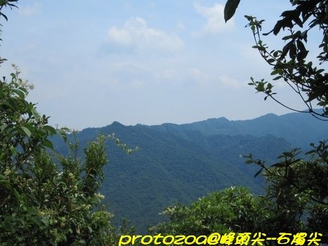 IMG_1667.jpg