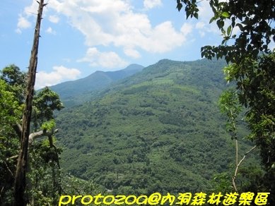IMG_3003.jpg