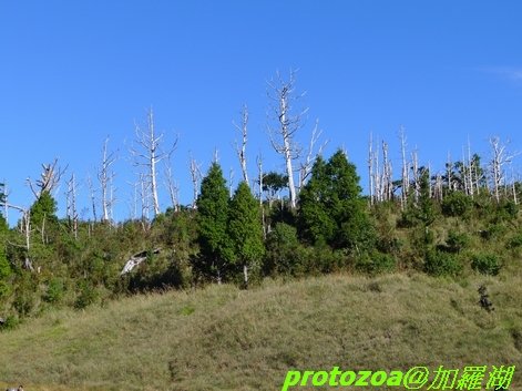 P1020085