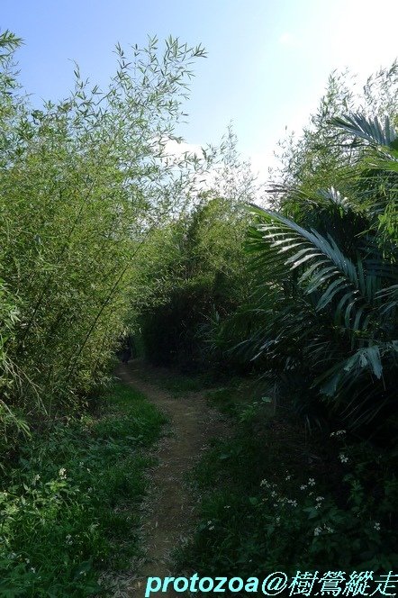 P1150180.JPG