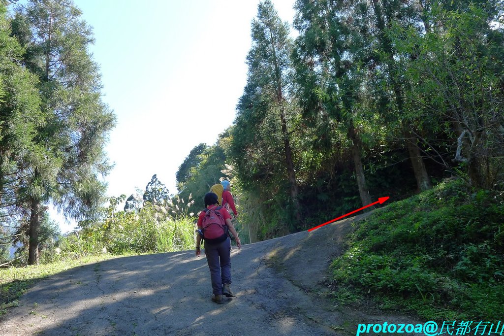 P1310677.JPG