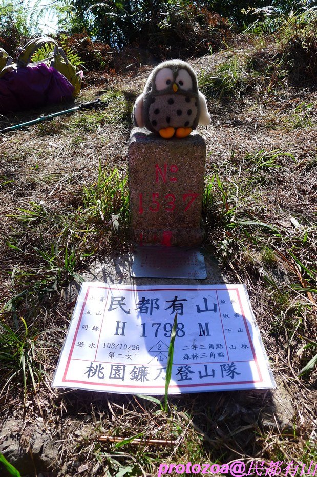 P1310774.JPG