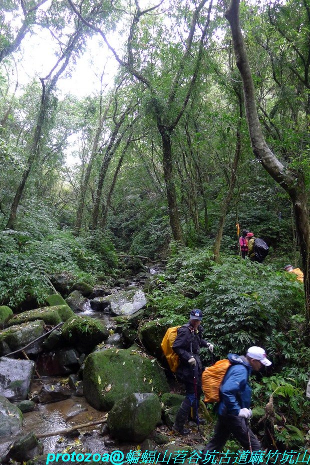 P1360554.JPG