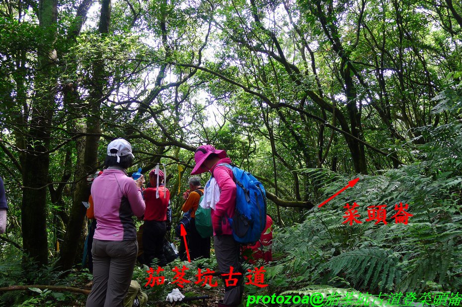 P1380013.JPG