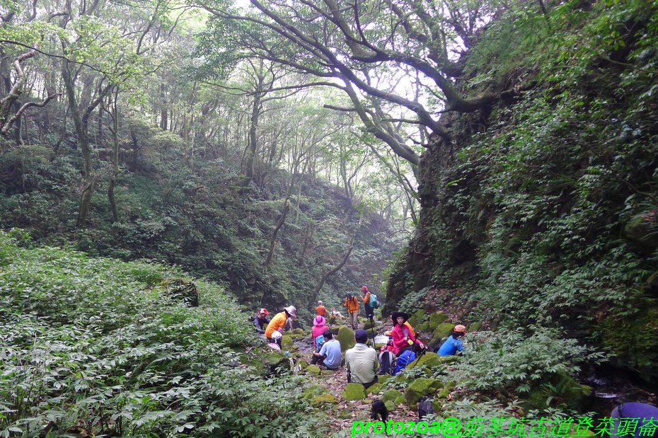 P1380141.JPG