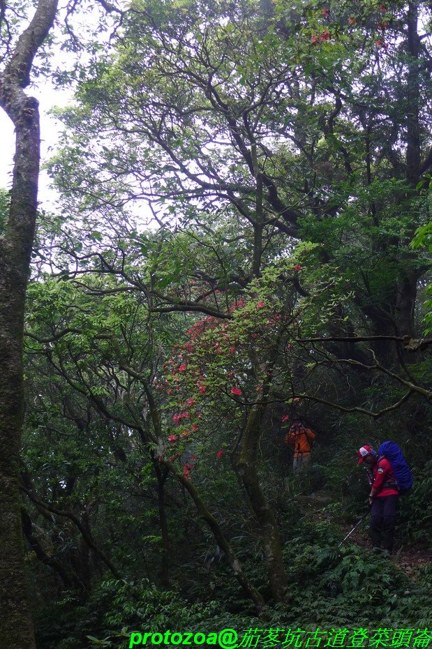 P1380146.JPG