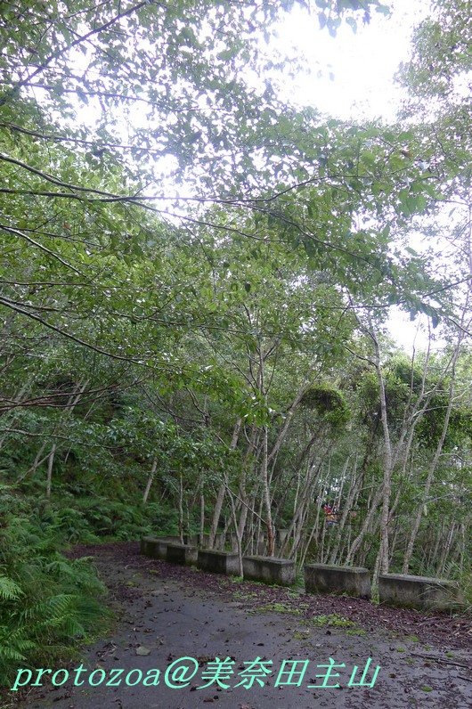 P1450324.JPG