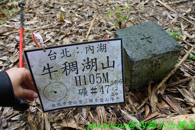 DSC00432.JPG
