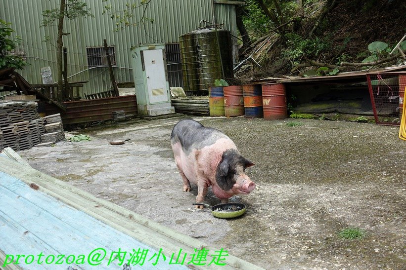 DSC00569.JPG