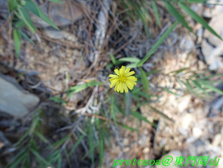 DSC04526.JPG