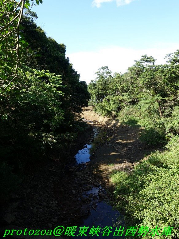 DSC05254.JPG