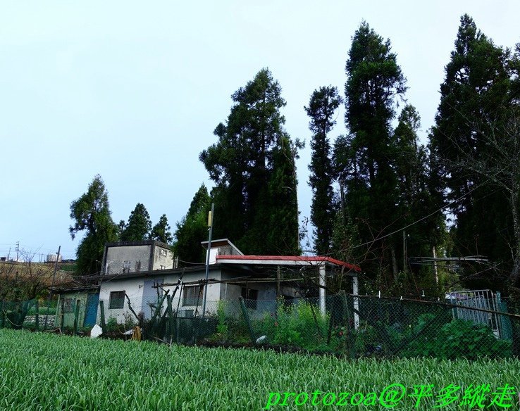 DSC07497.JPG