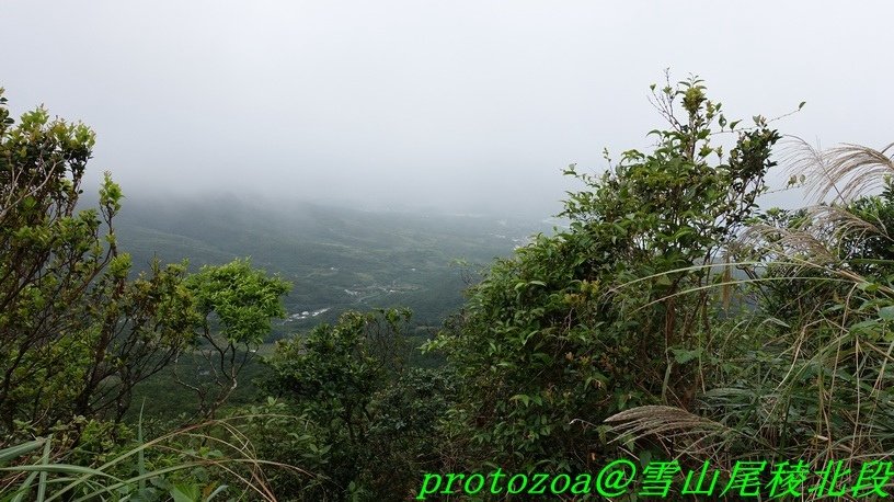 DSC09425.JPG