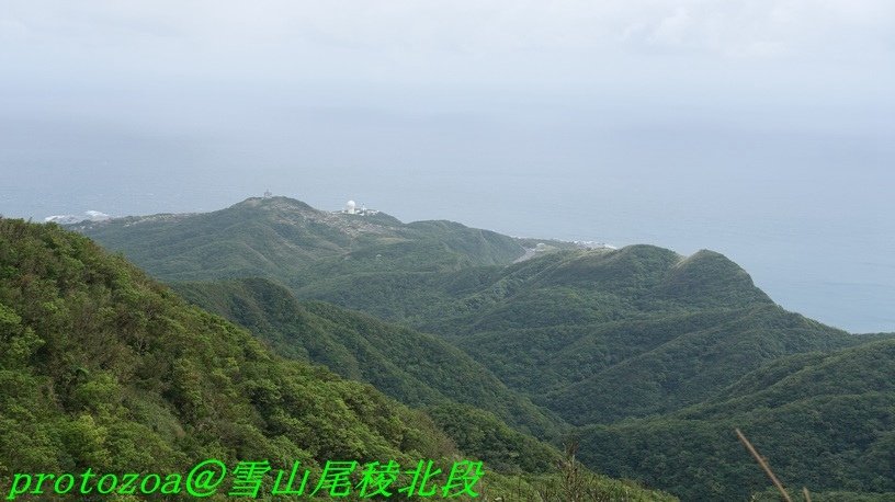 DSC09430.JPG