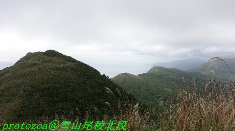 DSC09470.JPG