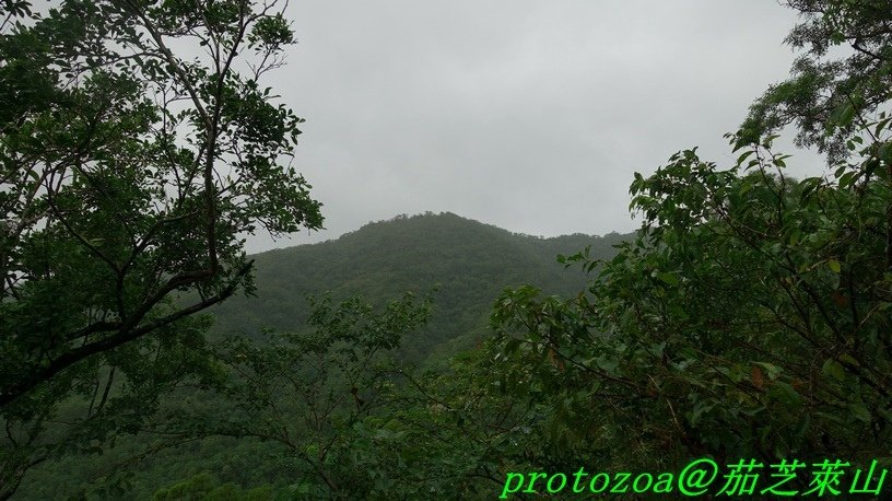 DSC00058.JPG