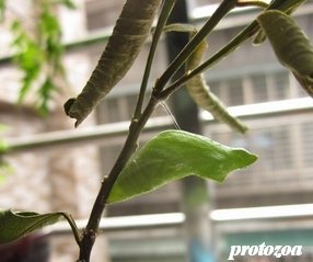 IMG_5042.jpg