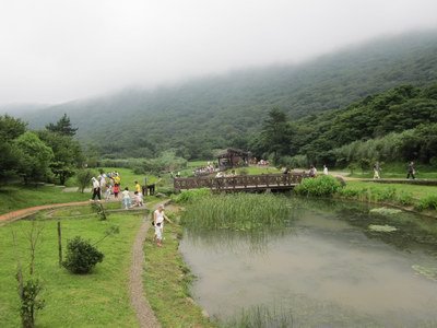 IMG_2658.jpg