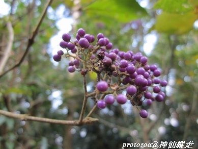 IMG_6891.jpg