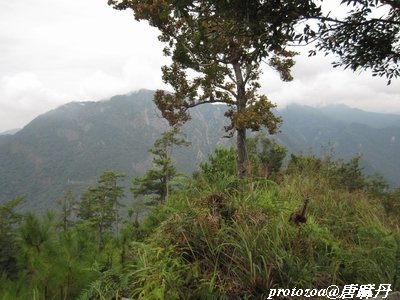 IMG_5134.jpg