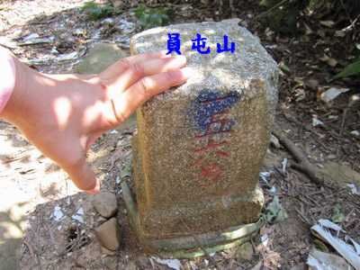 IMG_2787.jpg