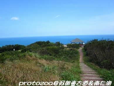IMG_8999.jpg