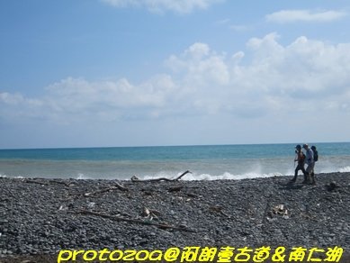 IMG_8941.jpg