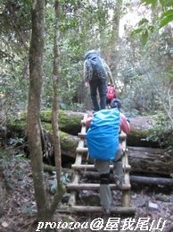 IMG_7380.jpg