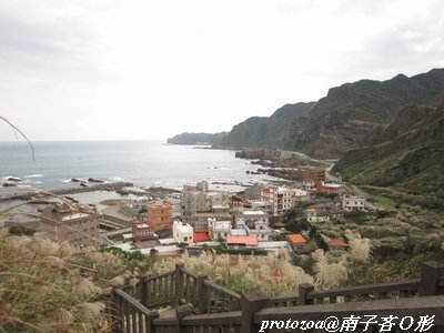 IMG_6046.jpg
