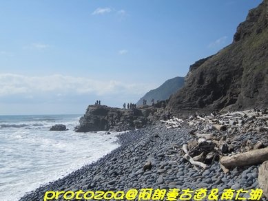 IMG_8902.jpg