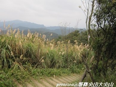 IMG_7162.jpg