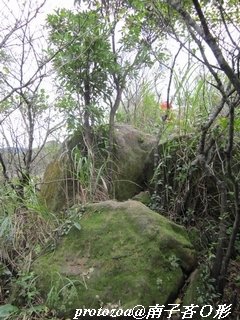 IMG_6096.jpg