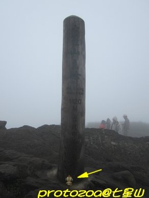 IMG_9727.jpg