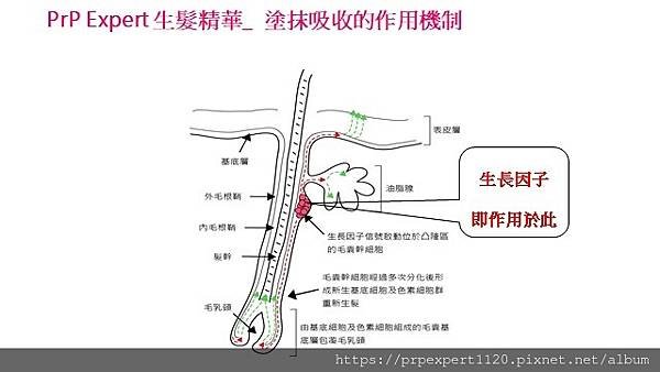 【日常保養日記】斷髮還是脫髮？兩者大不同！