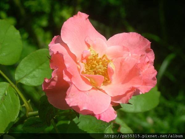 DSCN1178.JPG