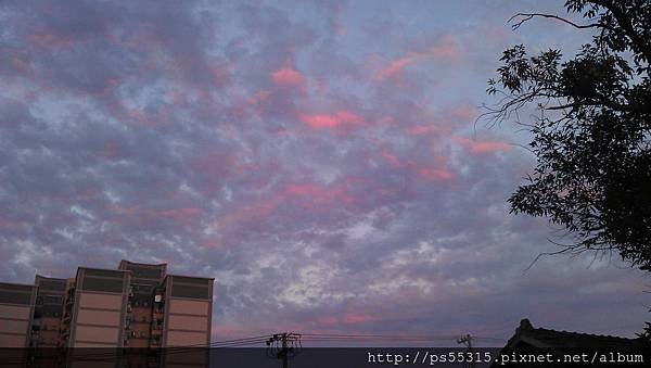 IMAG0541.jpg