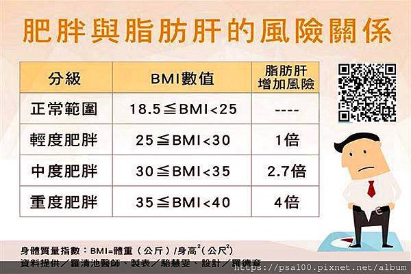 脂肪肝分級指南：了解你的肝臟健康狀態