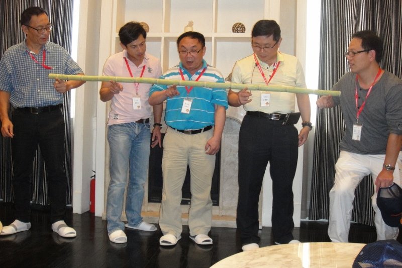 DSC02494 (800x533).jpg