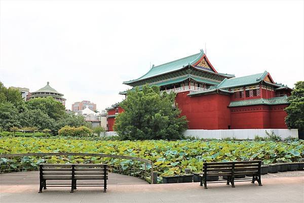 台北植物園裡的花花草草