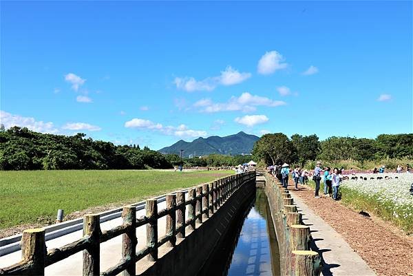 2022 關渡花海