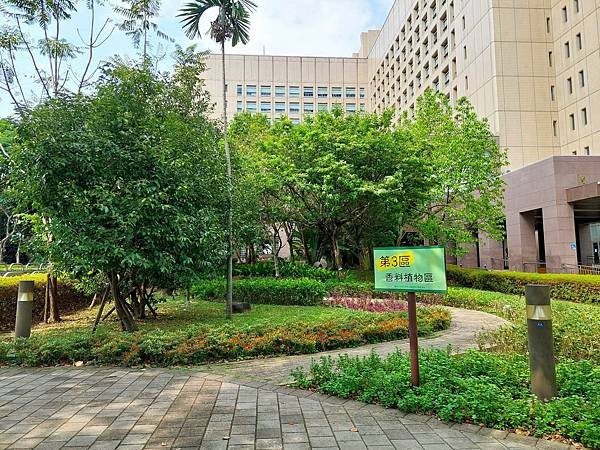 台北市政府 九重葛