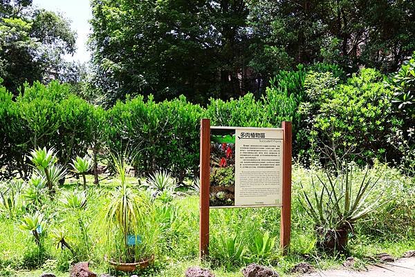 台北植物園 單刺仙人掌