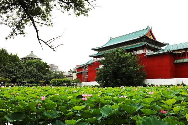 台北植物園