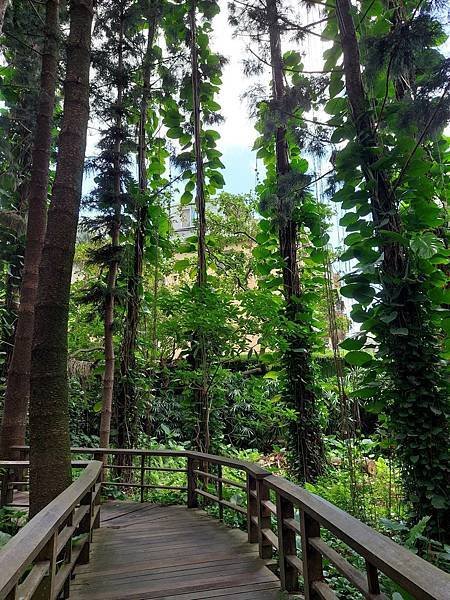 台北植物園