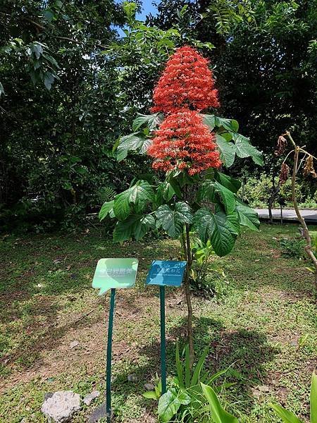 台北植物園