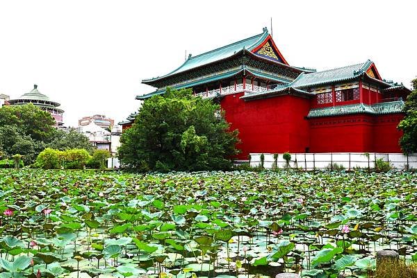 台北植物園 荷花池