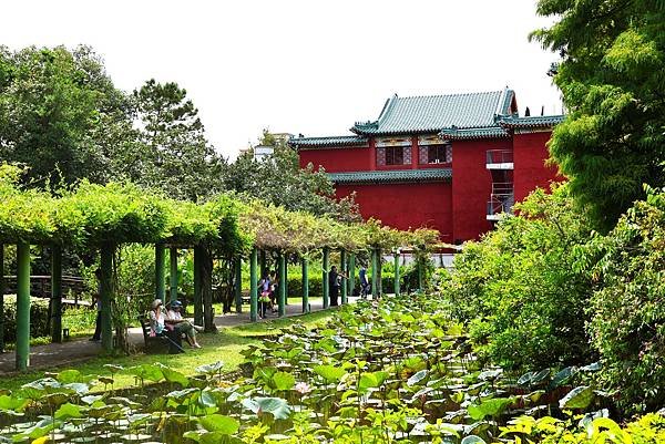 台北植物園 荷花池